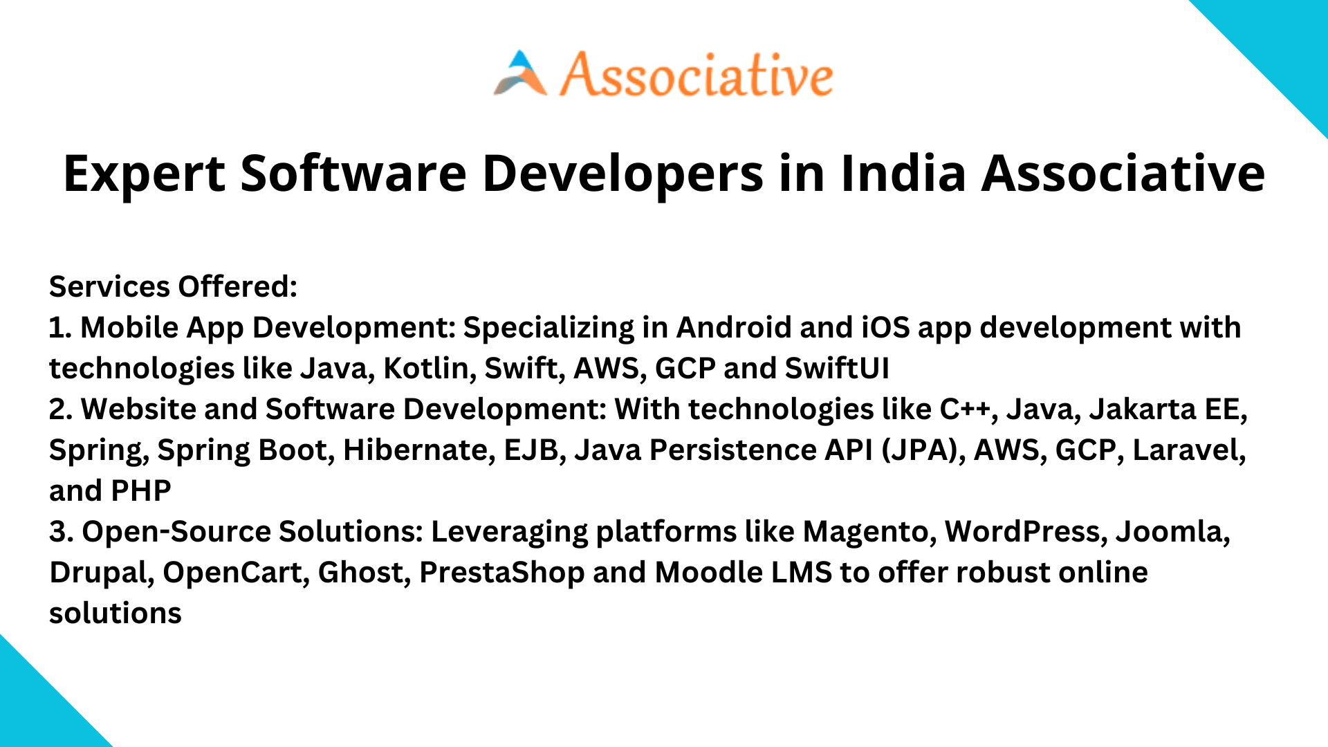 Expert Software Developers in India Associative