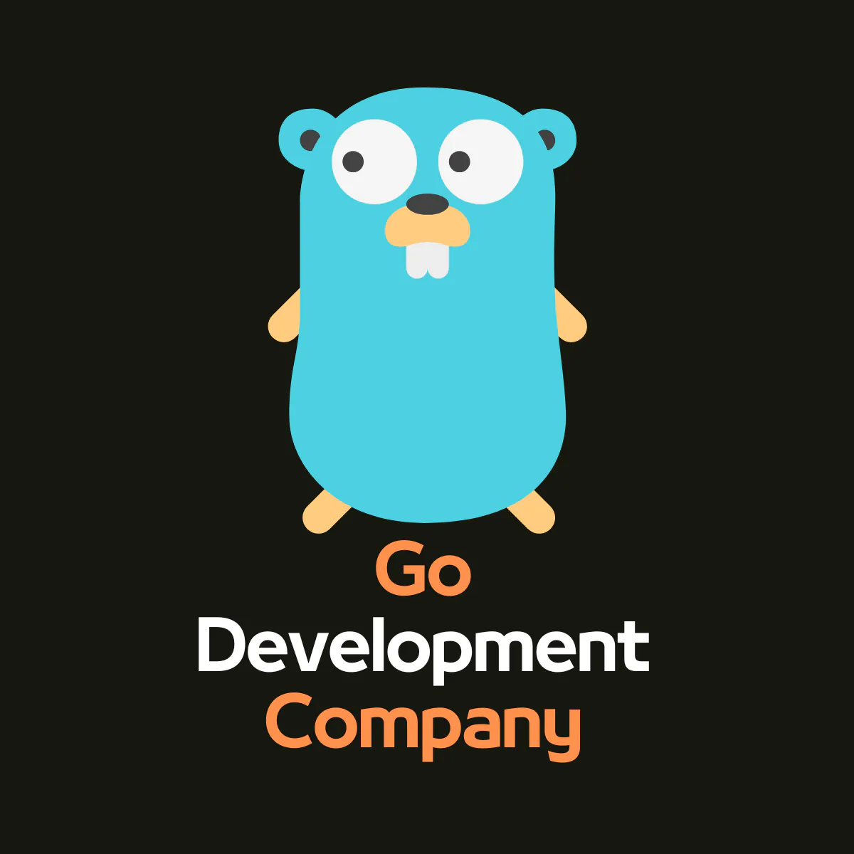 Go Developer Partner