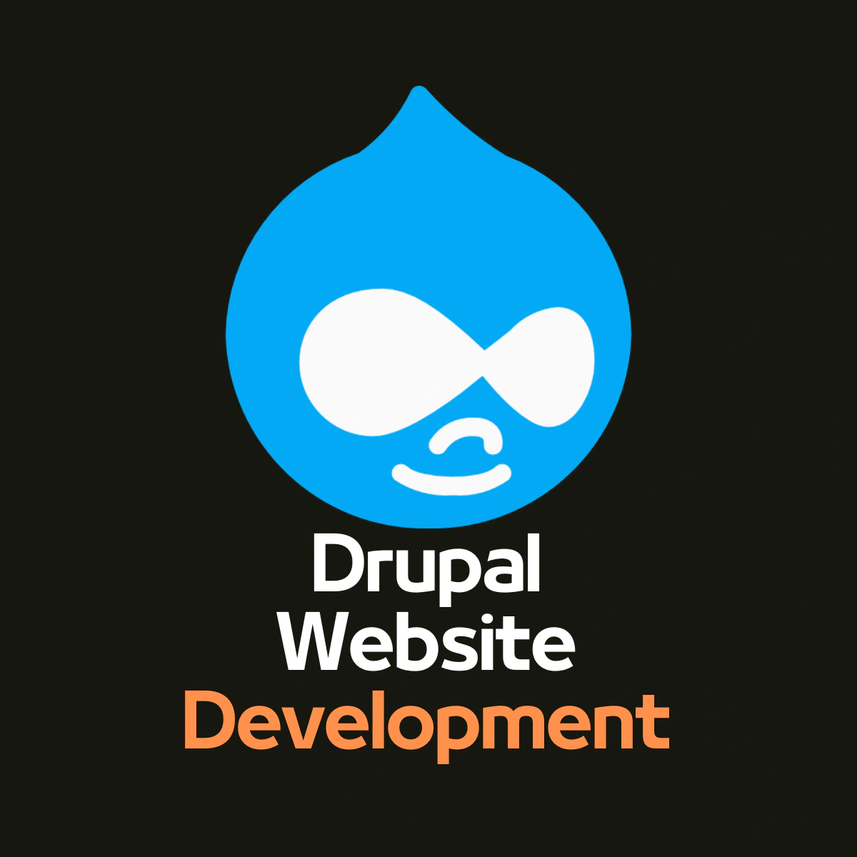 Professional Drupal Setup and Deployment Service