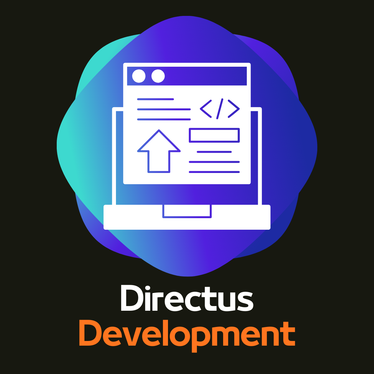 Directus Development Services